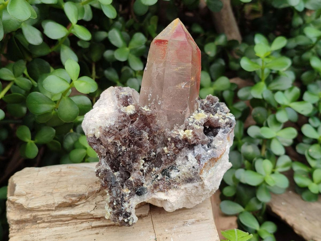 Natural Smokey Quartz Clusters with Associated Minerals x 2 From Erongo, Namibia - Toprock Gemstones and Minerals 