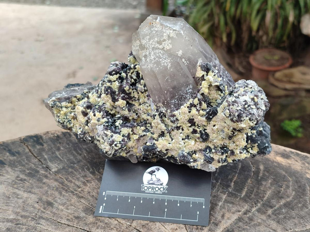 Natural Smokey Quartz Clusters with Associated Minerals x 2 From Erongo, Namibia - Toprock Gemstones and Minerals 