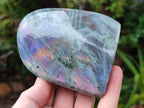 Polished Rare Purple Sunset Flash Labradorite Standing Free Forms x 2 From Madagascar - Toprock Gemstones and Minerals 
