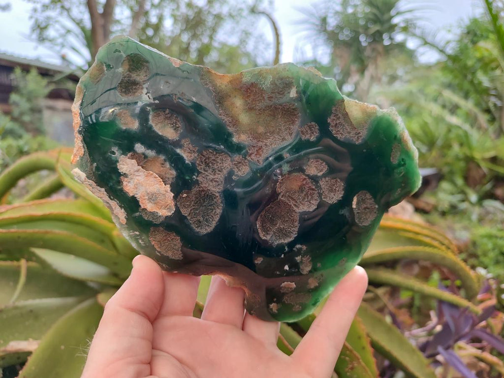 Polished On One Side Mtorolite Chrysoprase Plates x 6 From Mutorashanga, Zimbabwe - Toprock Gemstones and Minerals 