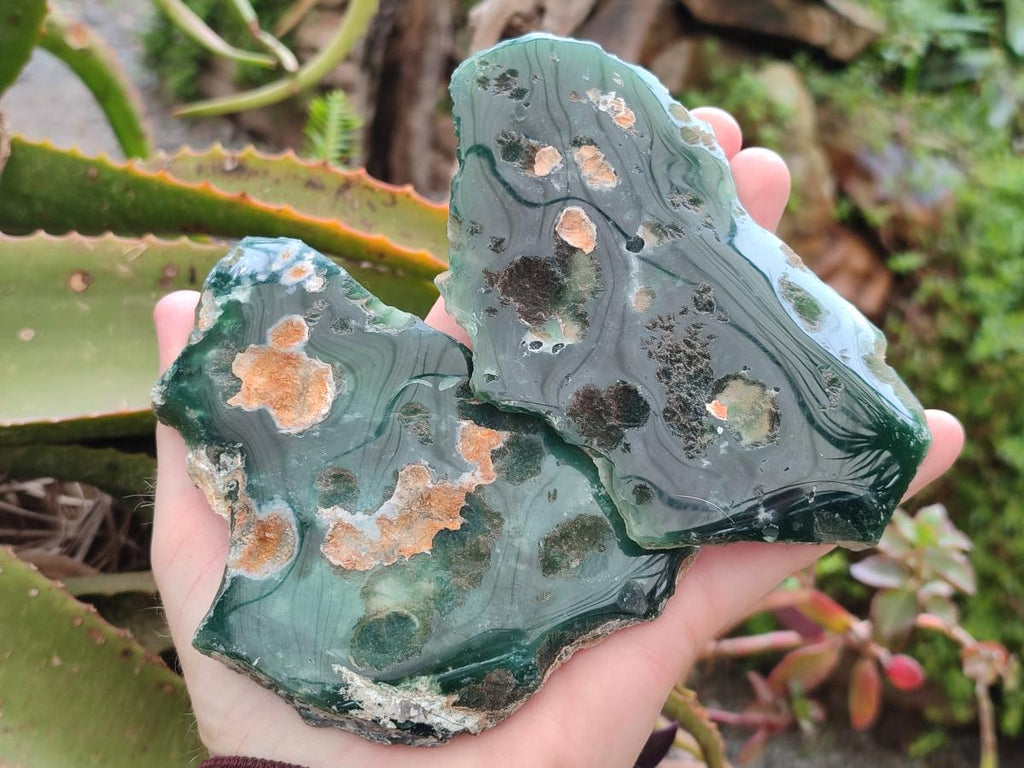 Polished On One Side Mtorolite Chrysoprase Plates x 6 From Mutorashanga, Zimbabwe - Toprock Gemstones and Minerals 