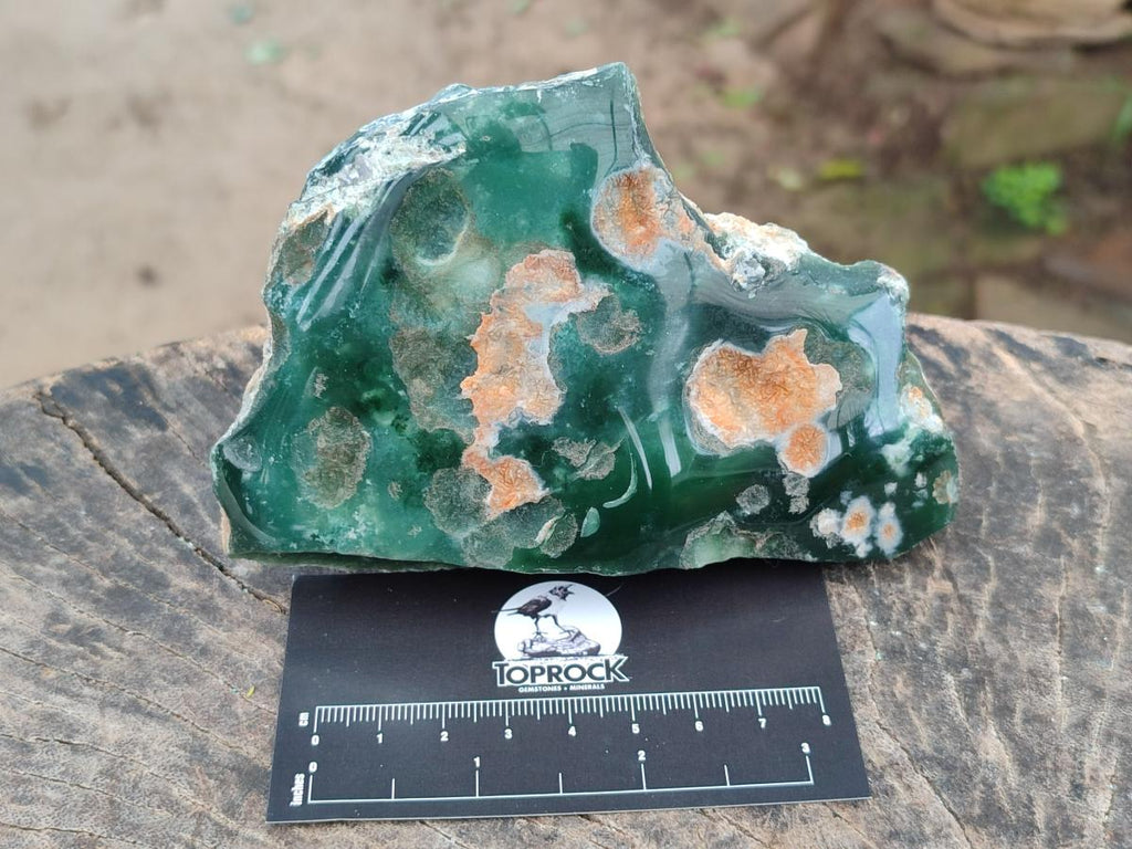 Polished On One Side Mtorolite Chrysoprase Plates x 6 From Mutorashanga, Zimbabwe - Toprock Gemstones and Minerals 