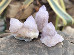 Natural Amethyst and Ametrine Spirit Clusters x 24 From Boekenhouthoek, South Africa - Toprock Gemstones and Minerals 