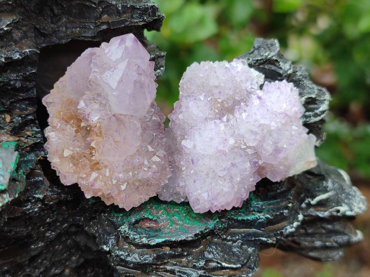 Natural Amethyst and Ametrine Spirit Clusters x 24 From Boekenhouthoek, South Africa - Toprock Gemstones and Minerals 