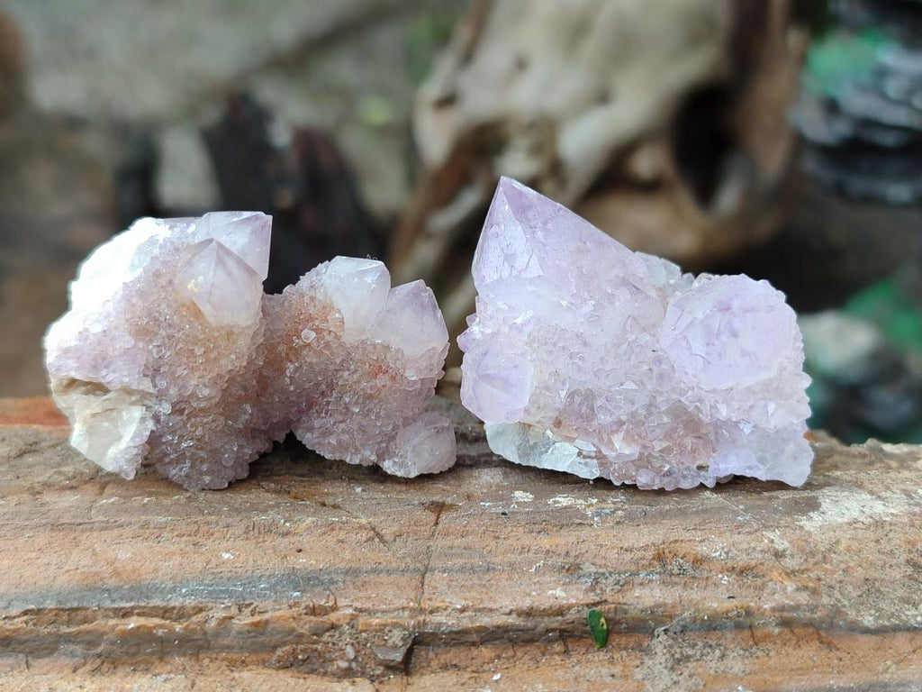 Natural Amethyst and Ametrine Spirit Clusters x 24 From Boekenhouthoek, South Africa - Toprock Gemstones and Minerals 