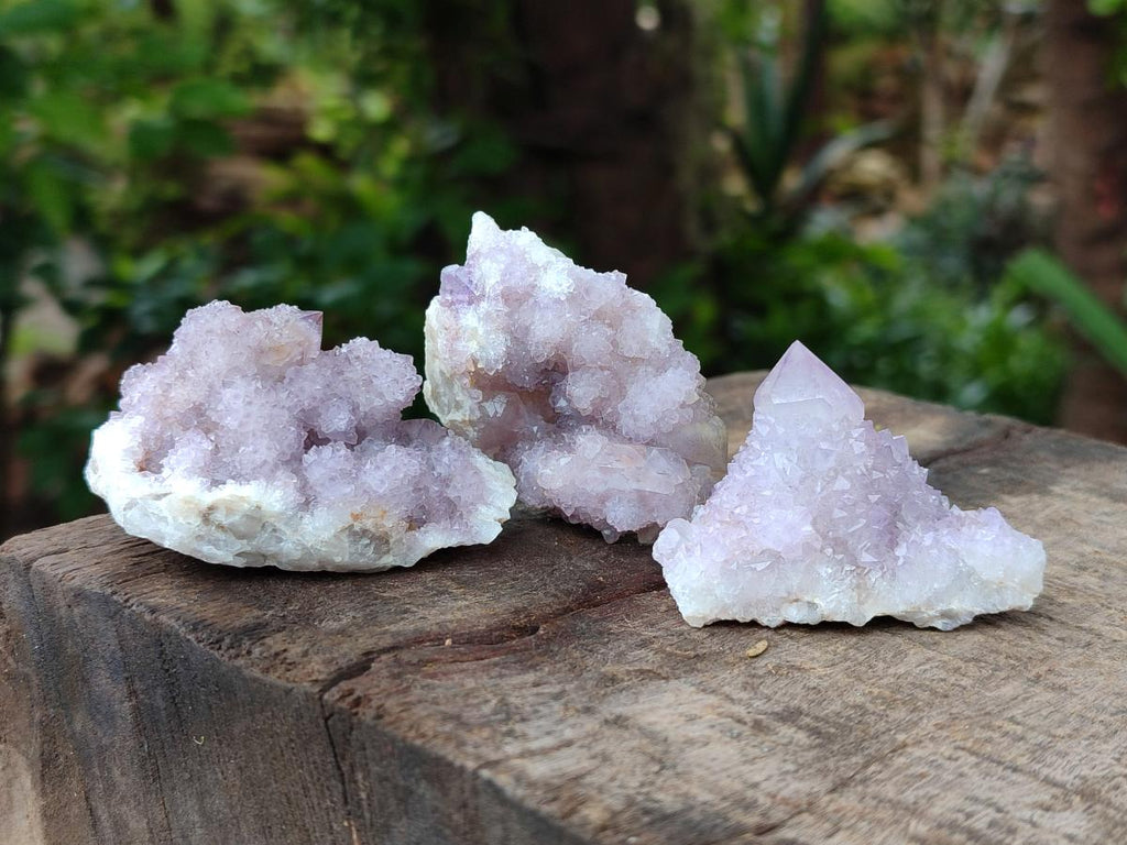 Natural Amethyst and Ametrine Spirit Clusters x 24 From Boekenhouthoek, South Africa - Toprock Gemstones and Minerals 