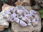 Natural Amethyst and Ametrine Spirit Clusters x 24 From Boekenhouthoek, South Africa - Toprock Gemstones and Minerals 