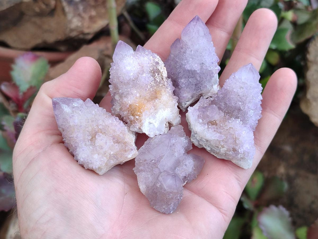 Natural Amethyst and Ametrine Spirit Clusters x 24 From Boekenhouthoek, South Africa - Toprock Gemstones and Minerals 