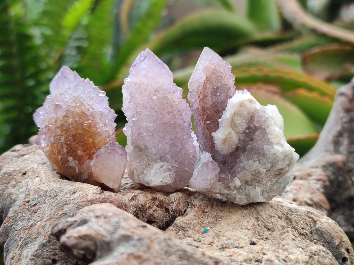 Natural Amethyst and Ametrine Spirit Clusters x 24 From Boekenhouthoek, South Africa - Toprock Gemstones and Minerals 