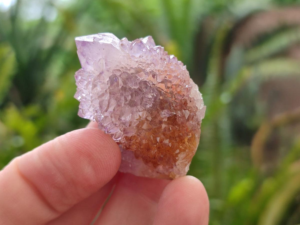 Natural Amethyst and Ametrine Spirit Clusters x 24 From Boekenhouthoek, South Africa - Toprock Gemstones and Minerals 