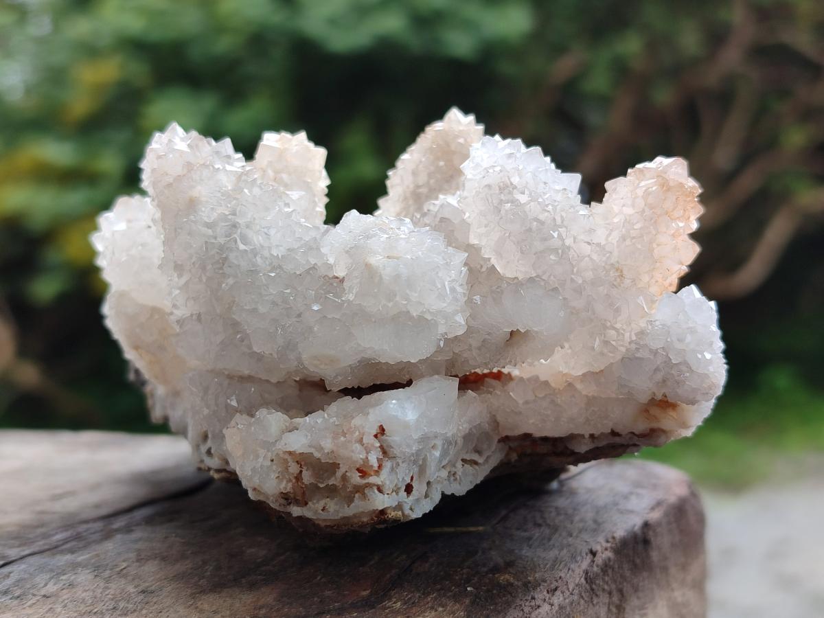 Natural Drusy Snow Finger Clusters x 4 From Albert's Mountain, Lesotho - Toprock Gemstones and Minerals 