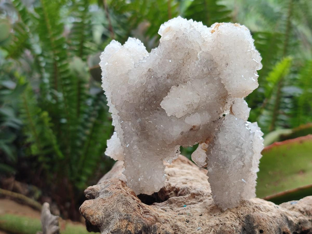 Natural Drusy Snow Finger Clusters x 4 From Albert's Mountain, Lesotho - Toprock Gemstones and Minerals 