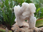 Natural Drusy Snow Finger Clusters x 4 From Albert's Mountain, Lesotho - Toprock Gemstones and Minerals 
