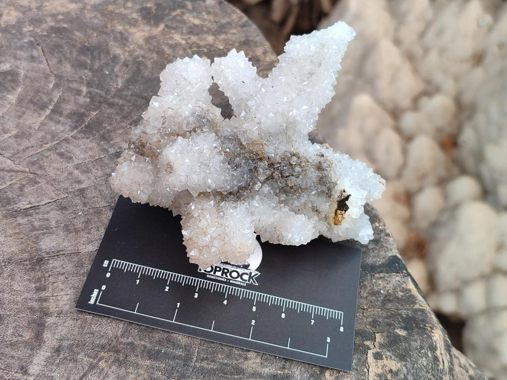 Natural Drusy Snow Finger Clusters x 4 From Albert's Mountain, Lesotho - Toprock Gemstones and Minerals 