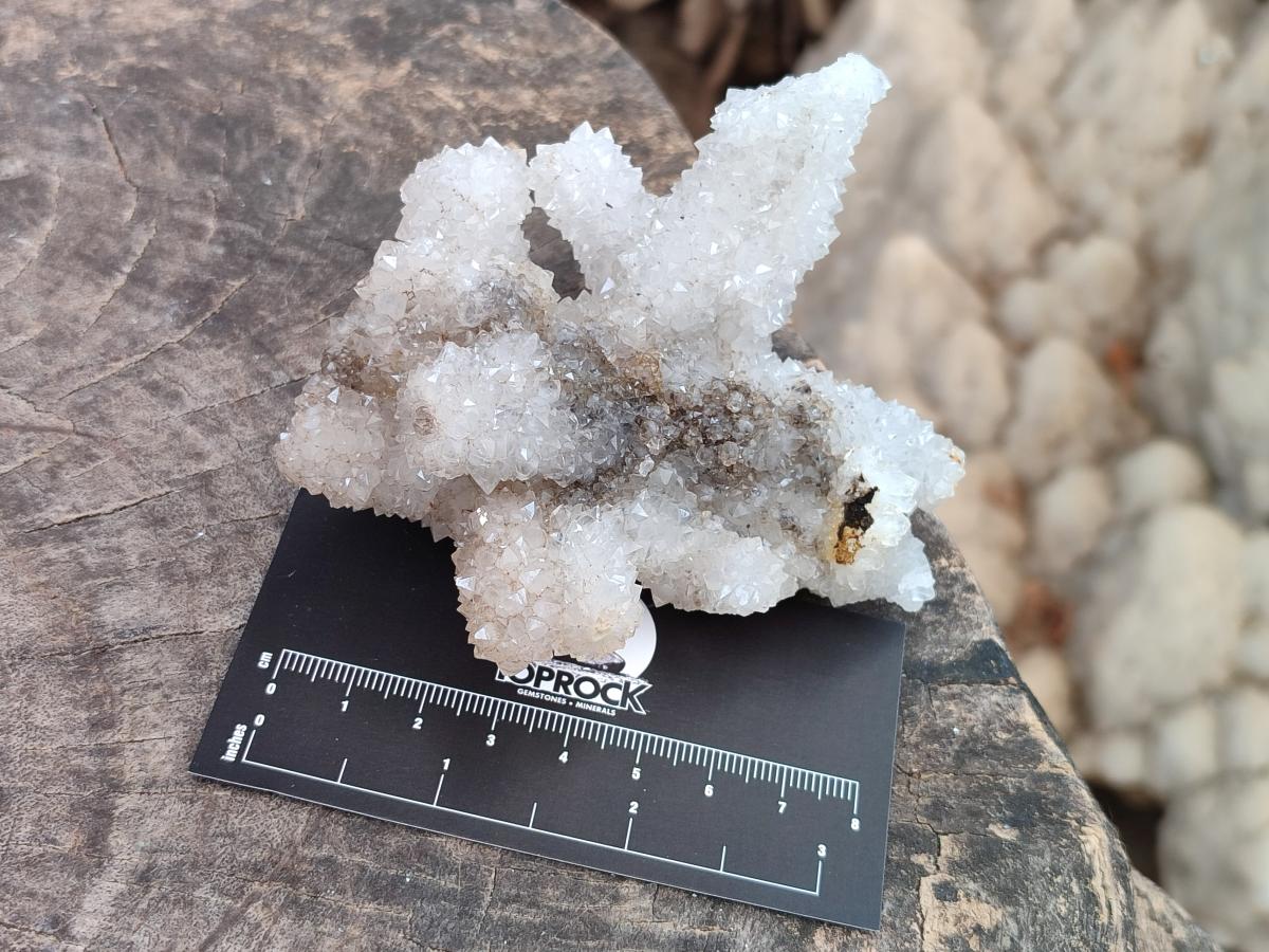 Natural Drusy Snow Finger Clusters x 4 From Albert's Mountain, Lesotho - Toprock Gemstones and Minerals 