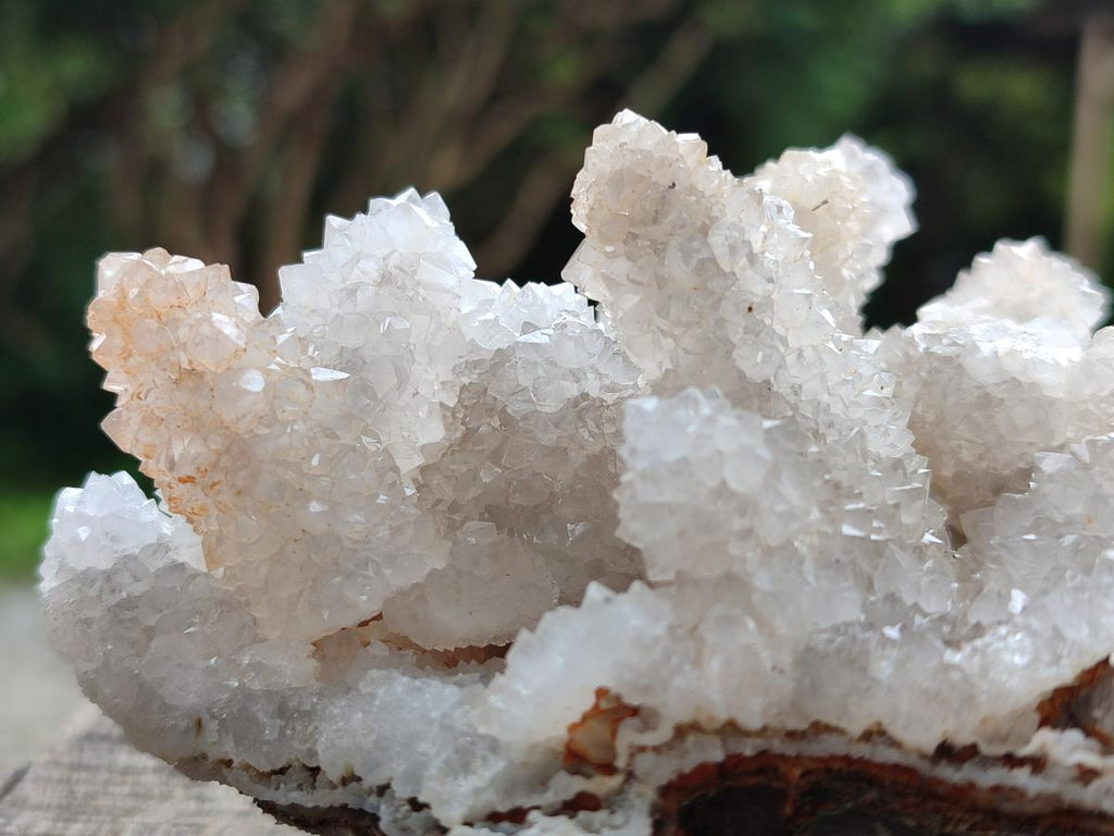 Natural Drusy Snow Finger Clusters x 4 From Albert's Mountain, Lesotho - Toprock Gemstones and Minerals 