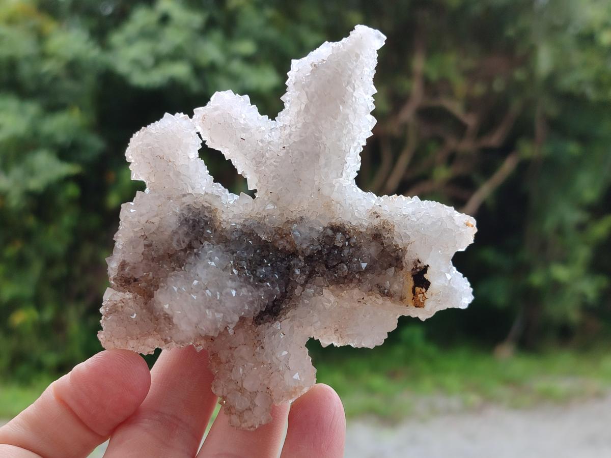 Natural Drusy Snow Finger Clusters x 4 From Albert's Mountain, Lesotho - Toprock Gemstones and Minerals 