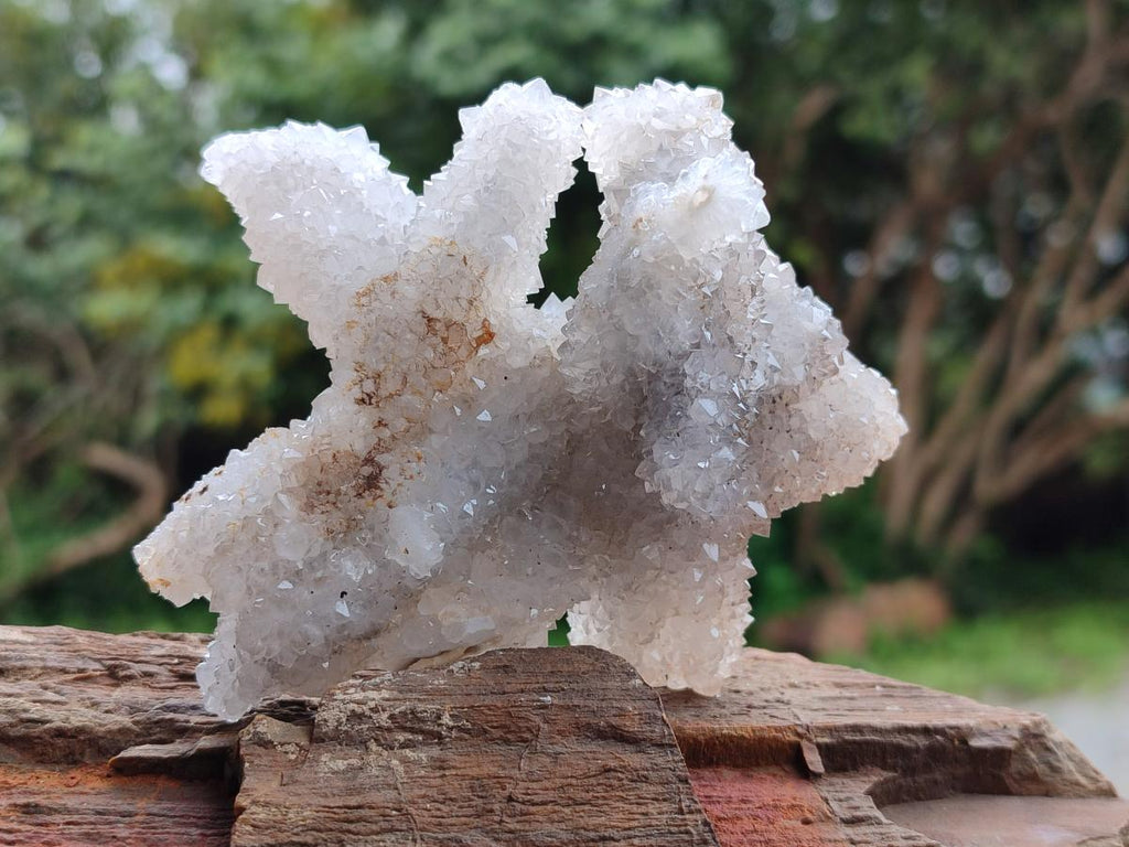 Natural Drusy Snow Finger Clusters x 4 From Albert's Mountain, Lesotho - Toprock Gemstones and Minerals 