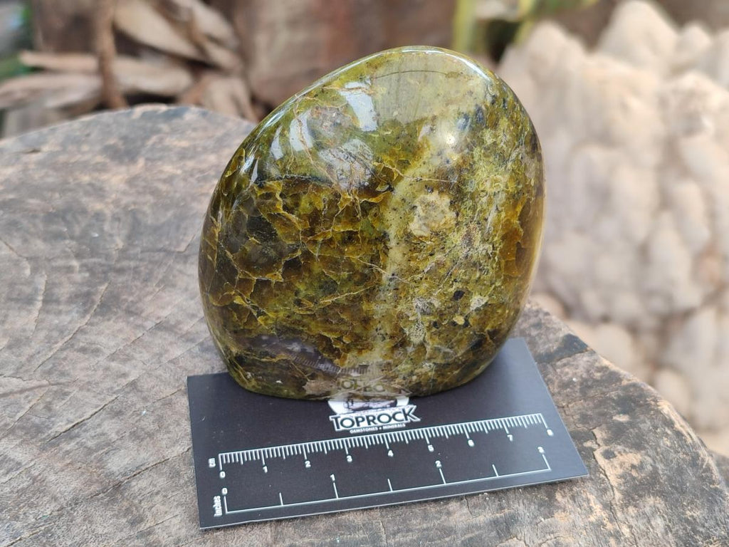 Polished Green Opal Standing Free Forms x 3 From Betroka, Madagascar - Toprock Gemstones and Minerals 