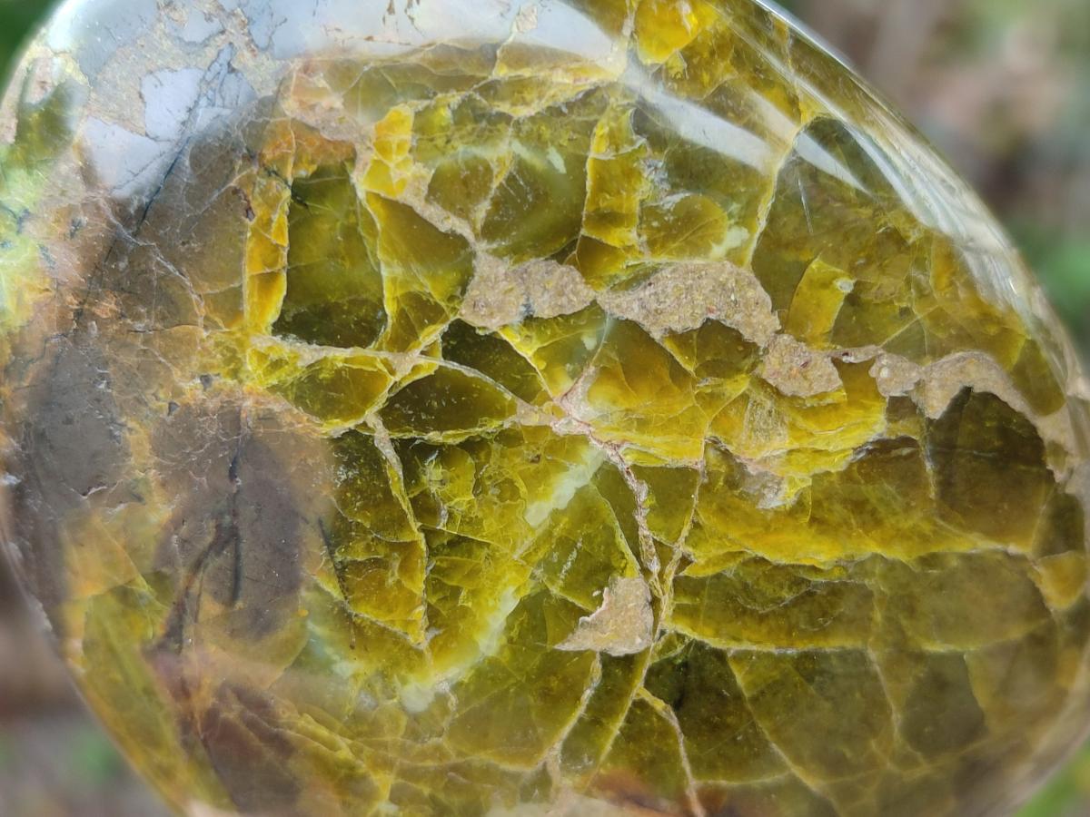 Polished Green Opal Standing Free Forms x 3 From Betroka, Madagascar - Toprock Gemstones and Minerals 