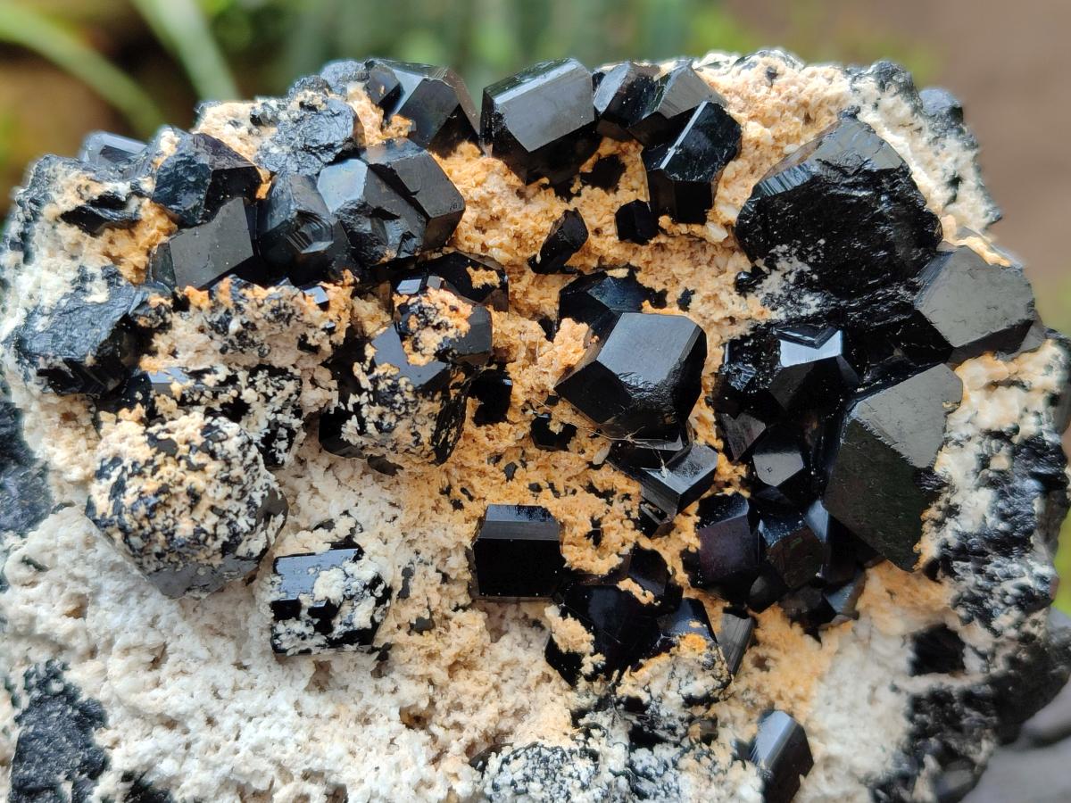 Natural Schorl Black Tourmaline with Feldspar Specimens x 2 From Erongo, Namibia - Toprock Gemstones and Minerals 