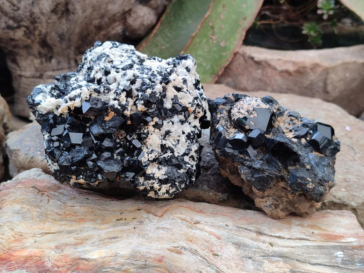 Natural Schorl Black Tourmaline with Feldspar Specimens x 2 From Erongo, Namibia - Toprock Gemstones and Minerals 
