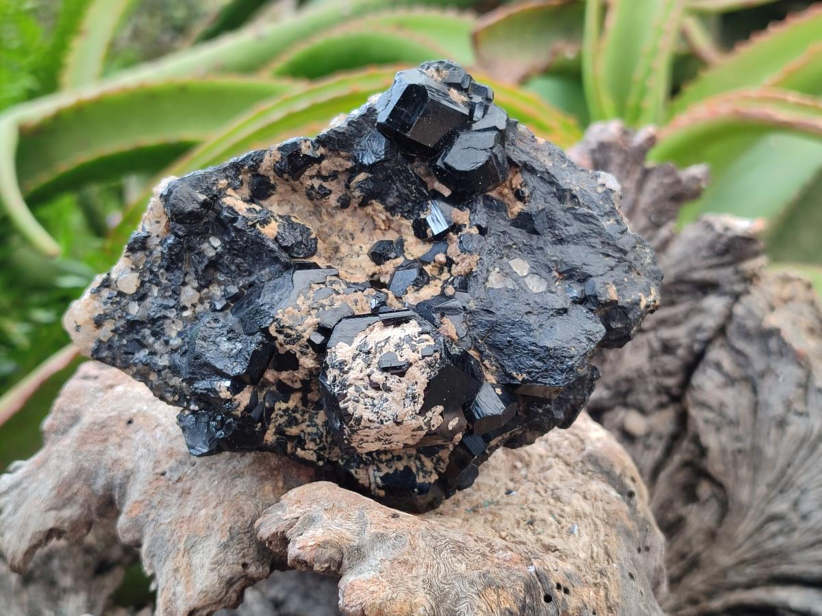 Natural Schorl Black Tourmaline with Feldspar Specimens x 2 From Erongo, Namibia - Toprock Gemstones and Minerals 