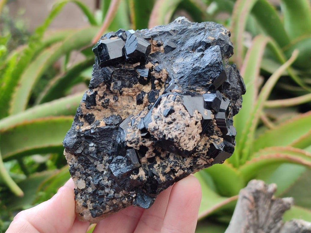 Natural Schorl Black Tourmaline with Feldspar Specimens x 2 From Erongo, Namibia - Toprock Gemstones and Minerals 