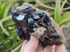 Natural Schorl Black Tourmaline with Feldspar Specimens x 2 From Erongo, Namibia - Toprock Gemstones and Minerals 