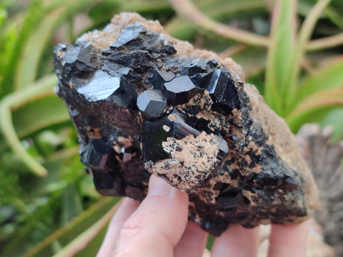 Natural Schorl Black Tourmaline with Feldspar Specimens x 2 From Erongo, Namibia - Toprock Gemstones and Minerals 