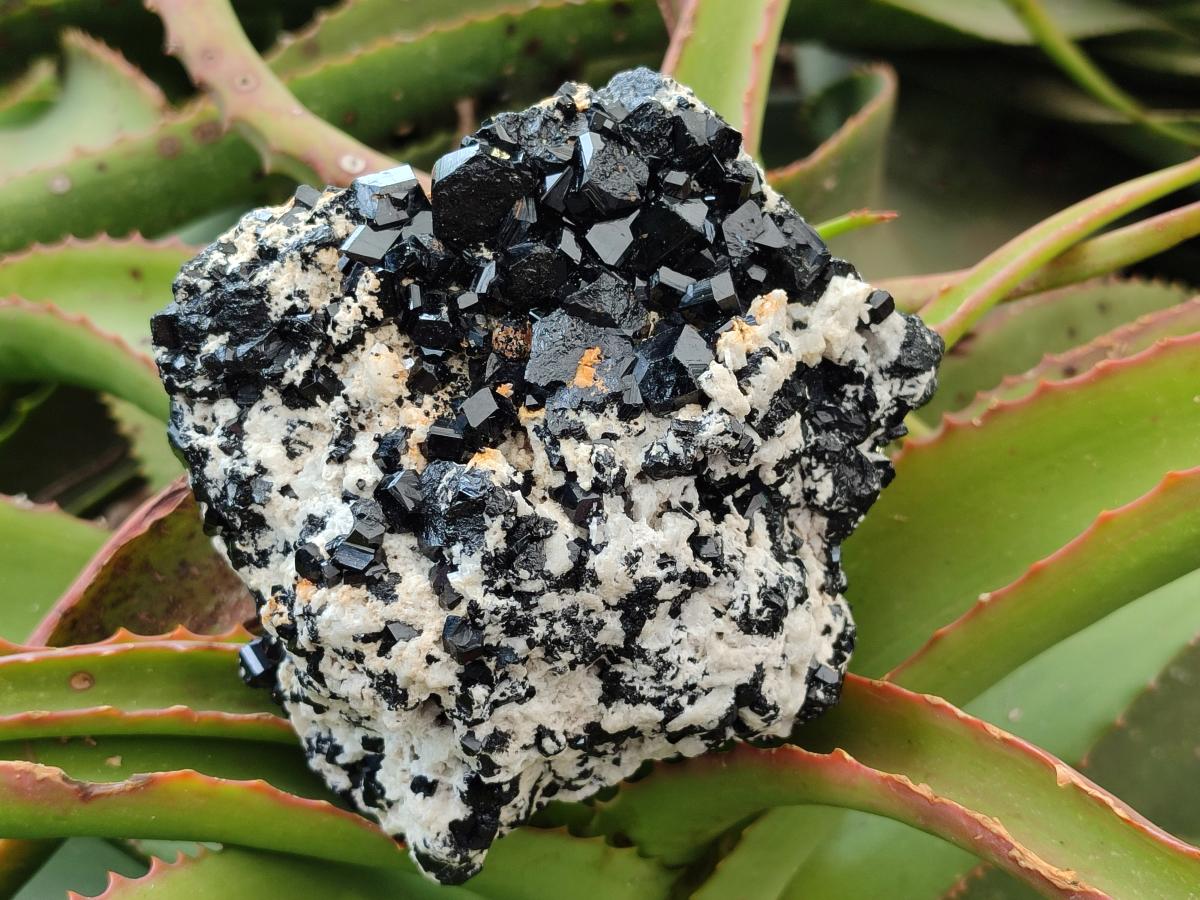 Natural Schorl Black Tourmaline with Feldspar Specimens x 2 From Erongo, Namibia - Toprock Gemstones and Minerals 