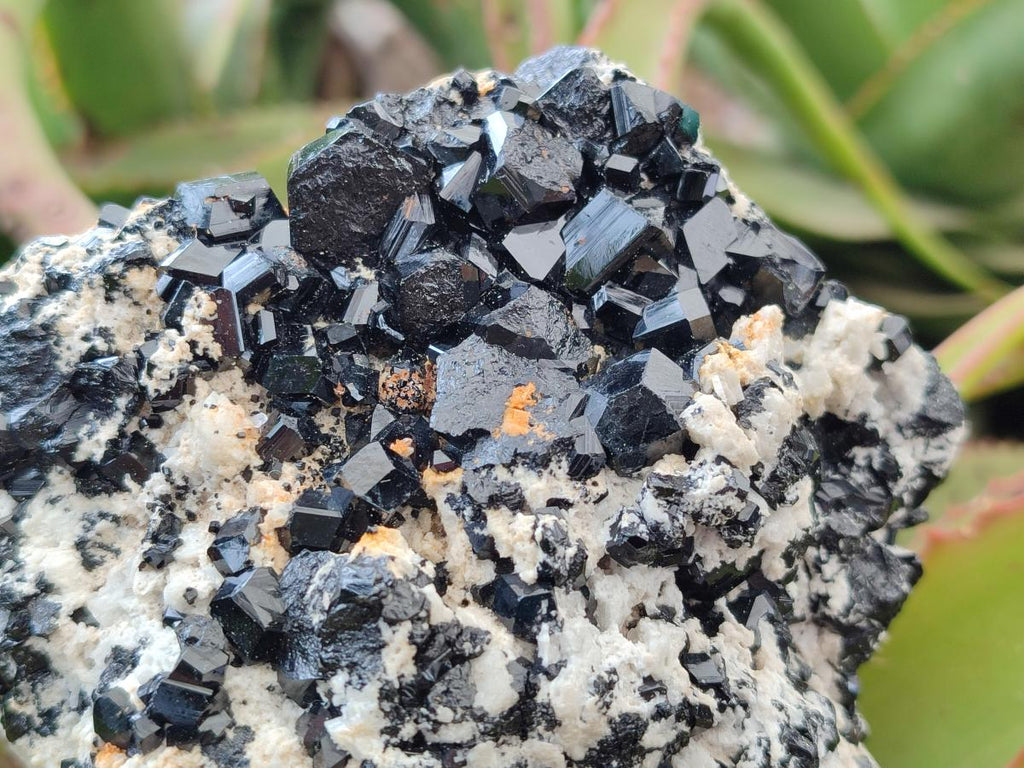Natural Schorl Black Tourmaline with Feldspar Specimens x 2 From Erongo, Namibia - Toprock Gemstones and Minerals 