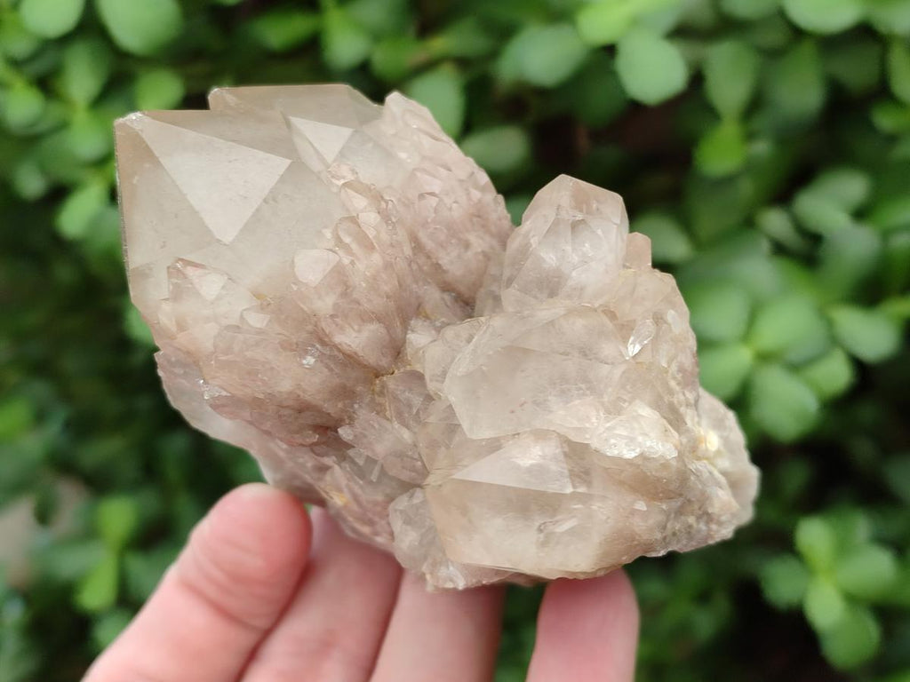 Natural Cascading Smokey Phantom Quartz Clusters x 6 From Luena, Congo - Toprock Gemstones and Minerals 