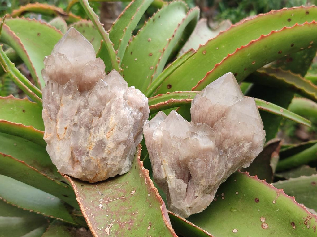 Natural Cascading Smokey Phantom Quartz Clusters x 6 From Luena, Congo - Toprock Gemstones and Minerals 