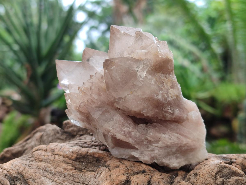 Natural Cascading Smokey Phantom Quartz Clusters x 6 From Luena, Congo - Toprock Gemstones and Minerals 