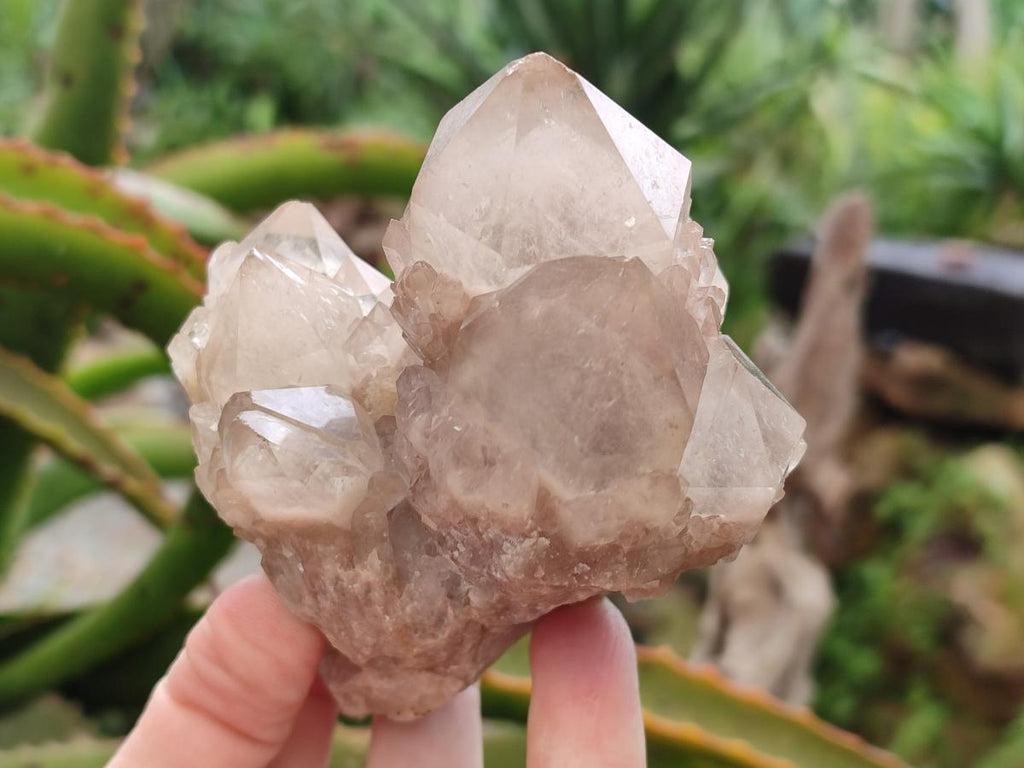 Natural Cascading Smokey Phantom Quartz Clusters x 6 From Luena, Congo - Toprock Gemstones and Minerals 