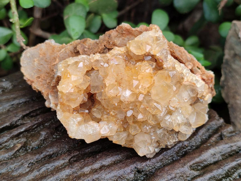 Natural Limonite Quartz Clusters x 12 From Solwezi, Zambia - Toprock Gemstones and Minerals 