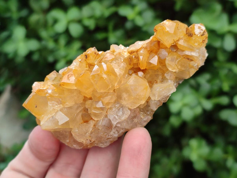 Natural Limonite Quartz Clusters x 12 From Solwezi, Zambia - Toprock Gemstones and Minerals 