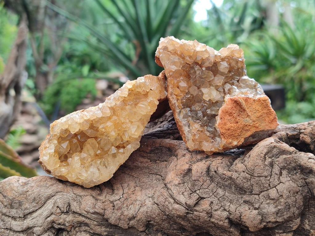 Natural Limonite Quartz Clusters x 12 From Solwezi, Zambia - Toprock Gemstones and Minerals 