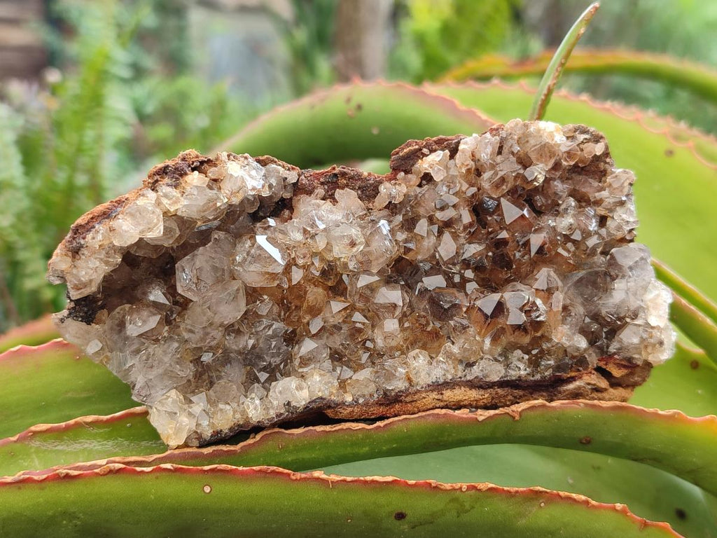 Natural Limonite Quartz Clusters x 12 From Solwezi, Zambia - Toprock Gemstones and Minerals 