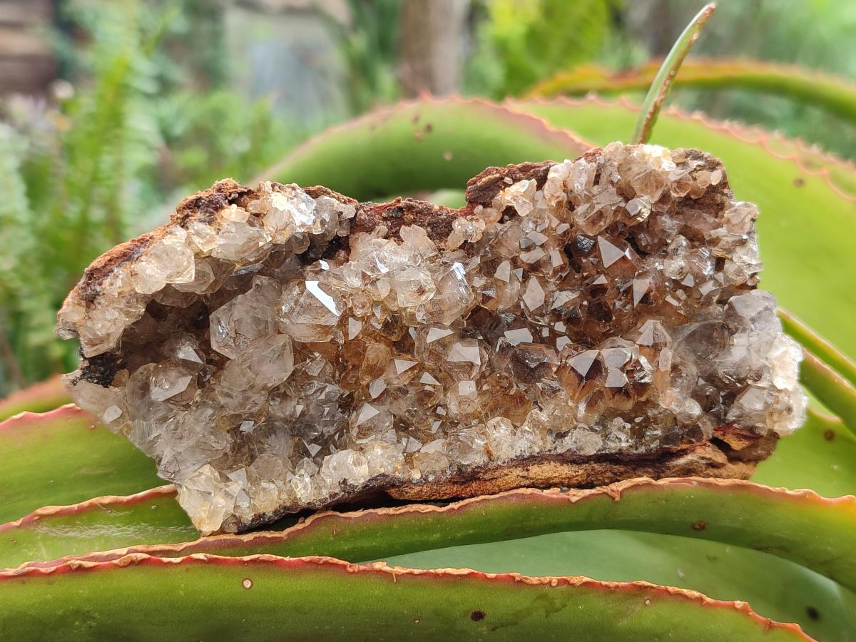 Natural Limonite Quartz Clusters x 12 From Solwezi, Zambia - Toprock Gemstones and Minerals 