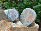 Polished Rare Purple Sunset Flash Labradorite Standing Free Forms x 12 From Madagascar - Toprock Gemstones and Minerals 