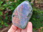 Polished Rare Purple Sunset Flash Labradorite Standing Free Forms x 12 From Madagascar - Toprock Gemstones and Minerals 