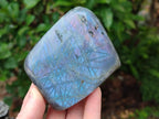 Polished Rare Purple Sunset Flash Labradorite Standing Free Forms x 12 From Madagascar - Toprock Gemstones and Minerals 