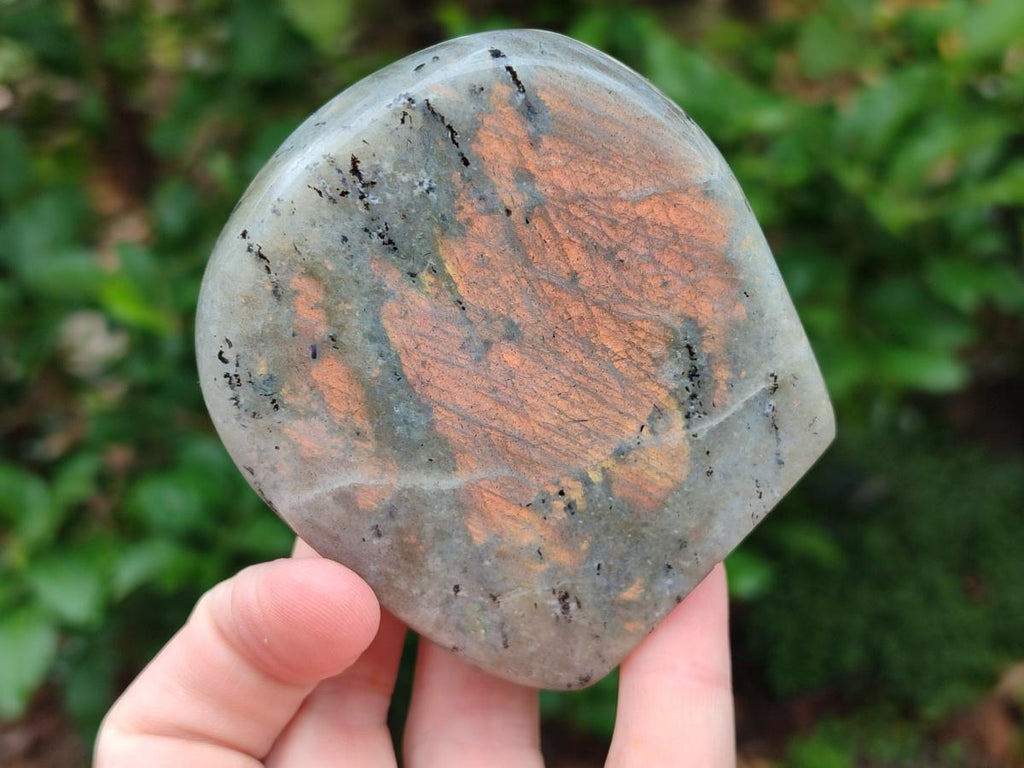 Polished Rare Purple Sunset Flash Labradorite Standing Free Forms x 12 From Madagascar - Toprock Gemstones and Minerals 