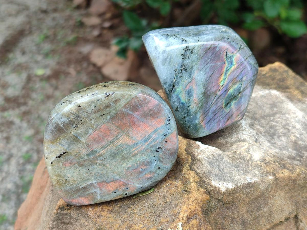 Polished Rare Purple Sunset Flash Labradorite Standing Free Forms x 12 From Madagascar - Toprock Gemstones and Minerals 
