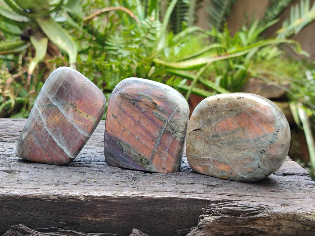 Polished Rare Purple Sunset Flash Labradorite Standing Free Forms x 12 From Madagascar - Toprock Gemstones and Minerals 