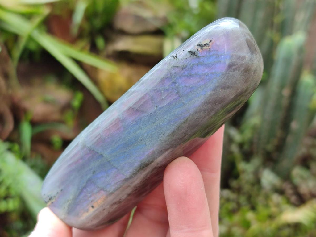 Polished Rare Purple Sunset Flash Labradorite Standing Free Forms x 12 From Madagascar - Toprock Gemstones and Minerals 