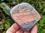 Polished Rare Purple Sunset Flash Labradorite Standing Free Forms x 12 From Madagascar - Toprock Gemstones and Minerals 
