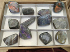 Polished Rare Purple Sunset Flash Labradorite Standing Free Forms x 12 From Madagascar - Toprock Gemstones and Minerals 